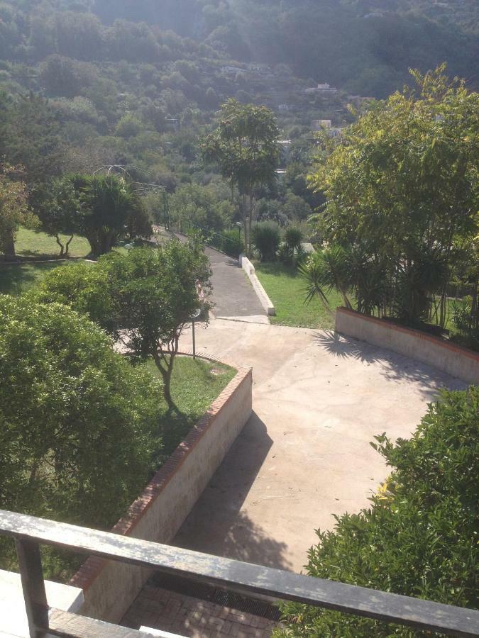 Florek Villa *