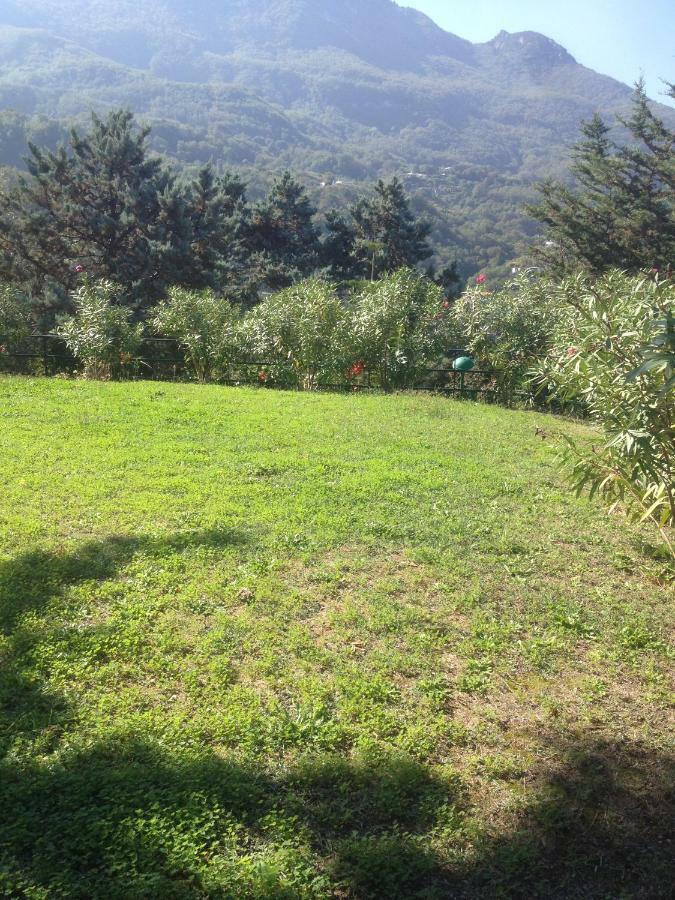 Florek Villa *