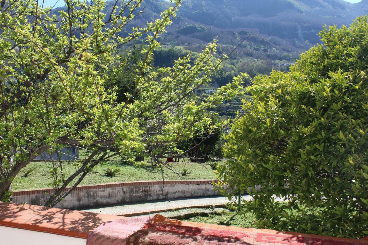 Villa Florek *