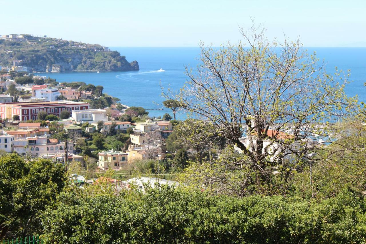 Villa Florek Ischia