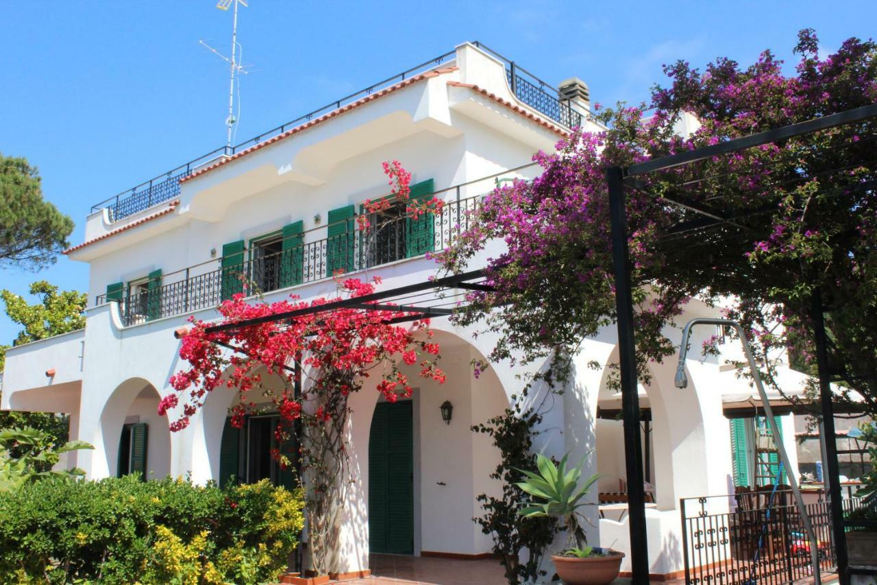 Villa Florek