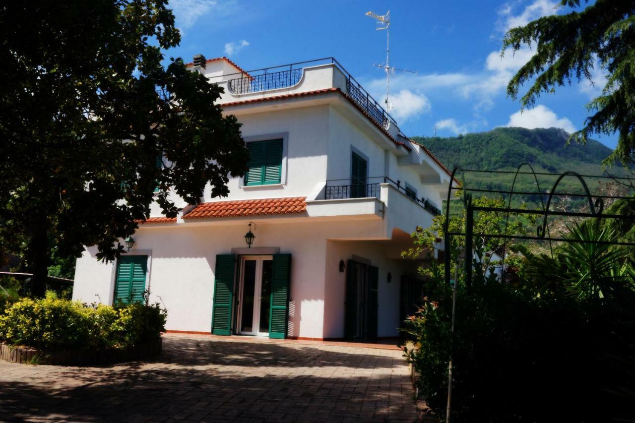 Florek Villa